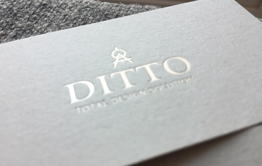 Ditto Design branding | website Design | Sugar Design